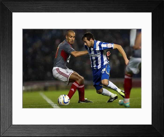 Framed Print : Will Buckley's Electric Performance: Brighton & Hove Albion vs Bolton Wanderers, Npower Championship, November 24, 2012 Framed Print : Will Buckley's Electric Performance: Brighton & Hove Albion vs Bolton Wanderers, Npower Championship, November 24, 2012