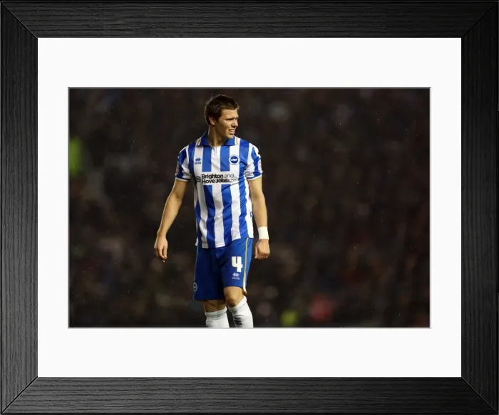 Framed Print : Dean Hammond of Brighton & Hove Albion in Action Against Bolton Wanderers, Npower Championship, 2012 Framed Print : Dean Hammond of Brighton & Hove Albion in Action Against Bolton Wanderers, Npower Championship, 2012