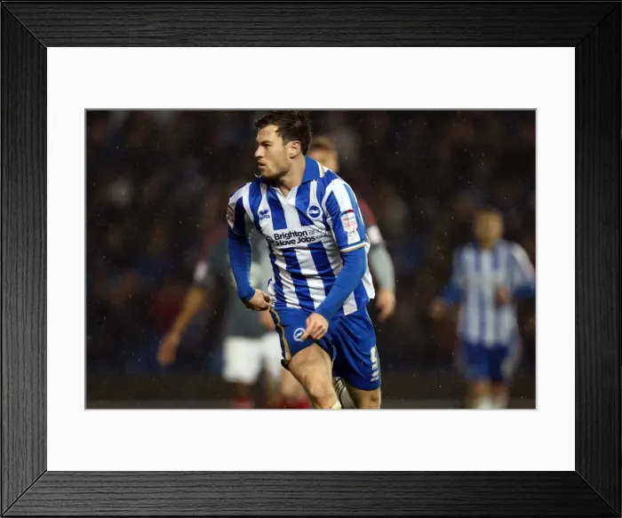 Framed Print : Ashley Barnes of Brighton & Hove Albion in Action against Bolton Wanderers, Npower Championship, November 24, 2012 Framed Print : Ashley Barnes of Brighton & Hove Albion in Action against Bolton Wanderers, Npower Championship, November 24, 2012