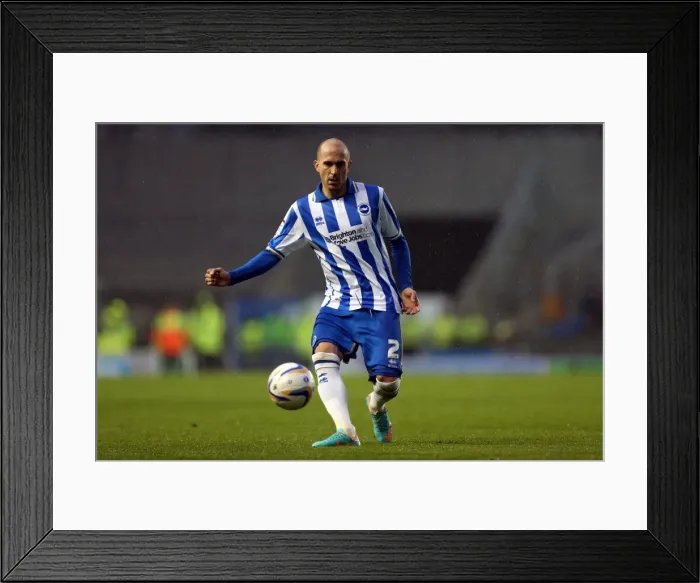 Framed Print : Bruno Saltor of Brighton & Hove Albion in Action against Bolton Wanderers, Npower Championship, Amex Stadium, November 24, 2012 Framed Print : Bruno Saltor of Brighton & Hove Albion in Action against Bolton Wanderers, Npower Championship, Amex Stadium, November 24, 2012