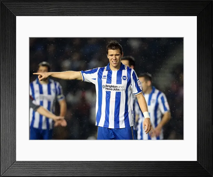 Framed Print : Brighton Bolton 121124 Framed Print : Brighton Bolton 121124
