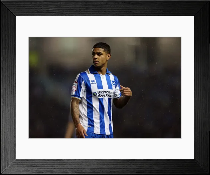 Framed Print : Brighton & Hove Albion: Liam Bridcutt Focused During Brighton v Bolton, Championship 2012 Framed Print : Brighton & Hove Albion: Liam Bridcutt Focused During Brighton v Bolton, Championship 2012
