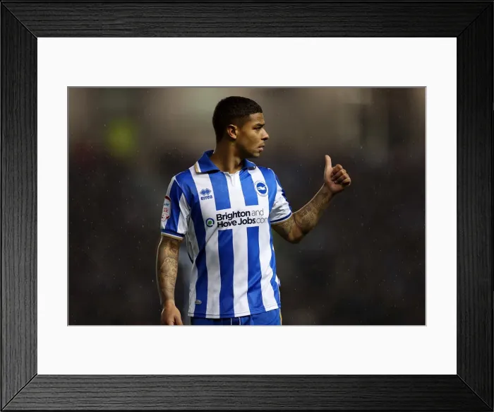 Framed Print : Brighton Bolton 121124 Framed Print : Brighton Bolton 121124