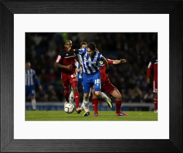 Framed Print : Brighton & Hove Albion's Will Buckley in Action Against Bristol City, Npower Championship, November 27, 2012 Framed Print : Brighton & Hove Albion's Will Buckley in Action Against Bristol City, Npower Championship, November 27, 2012