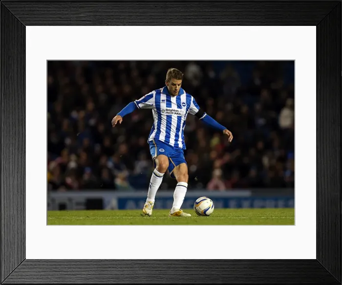 Framed Print : Bristol City - 27-11-2012 Framed Print : Bristol City - 27-11-2012