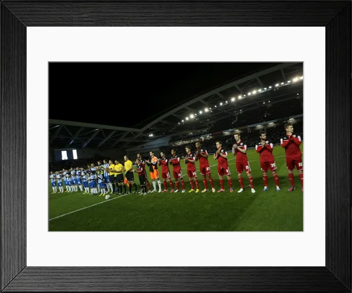 Framed Print : Brighton & Hove Albion vs. Bristol City: A Home Battle (2012-13 Season) Framed Print : Brighton & Hove Albion vs. Bristol City: A Home Battle (2012-13 Season)