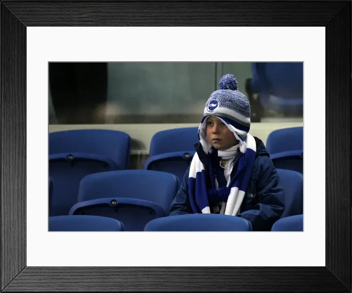 Framed Print : Brighton & Hove Albion: 2012-13 Home Game vs. Bristol City Framed Print : Brighton & Hove Albion: 2012-13 Home Game vs. Bristol City