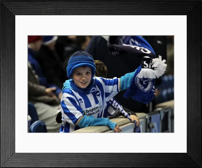 Framed Print : Brighton & Hove Albion FC: The Electric Atmosphere of Amex Stadium (2012-2013) - Crowd Shots Framed Print : Brighton & Hove Albion FC: The Electric Atmosphere of Amex Stadium (2012-2013) - Crowd Shots