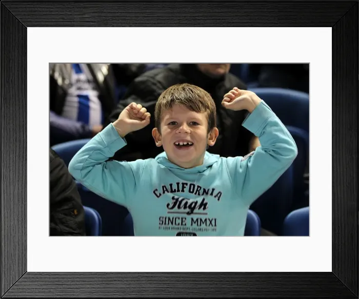 Framed Print : Brighton and Hove Albion: Electrifying Amex Stadium Crowds (2012-2013) Framed Print : Brighton and Hove Albion: Electrifying Amex Stadium Crowds (2012-2013)