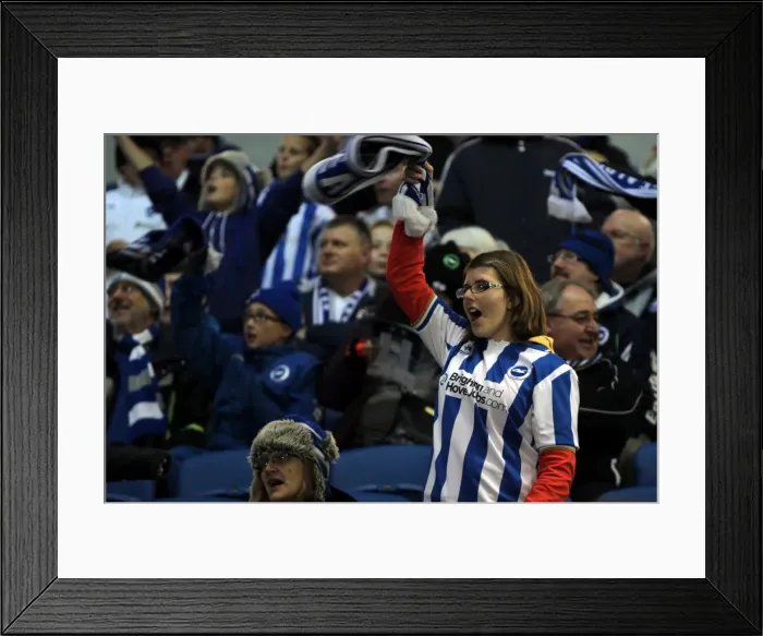 Framed Print : Brighton & Hove Albion: Nostalgic Review - 2012-13 Home Game vs. Bristol City Framed Print : Brighton & Hove Albion: Nostalgic Review - 2012-13 Home Game vs. Bristol City