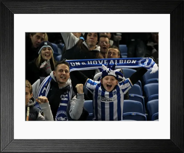 Framed Print : Brighton & Hove Albion FC: Electric Atmosphere - The Amex Crowd Shots (2012-2013) Framed Print : Brighton & Hove Albion FC: Electric Atmosphere - The Amex Crowd Shots (2012-2013)