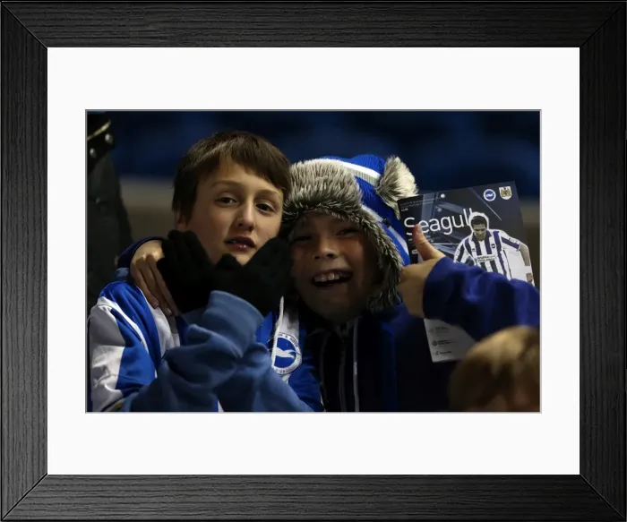 Framed Print : Brighton & Hove Albion FC: The Electric Amex Stadium Crowd (2012-2013) Framed Print : Brighton & Hove Albion FC: The Electric Amex Stadium Crowd (2012-2013)
