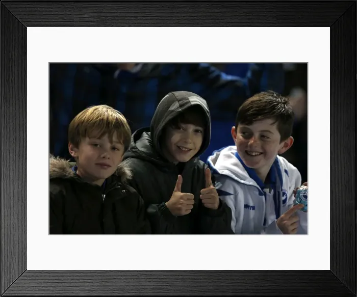 Framed Print : Brighton & Hove Albion FC: Electric Atmosphere - The Amex Stadium Crowd Shots (2012-2013) Framed Print : Brighton & Hove Albion FC: Electric Atmosphere - The Amex Stadium Crowd Shots (2012-2013)