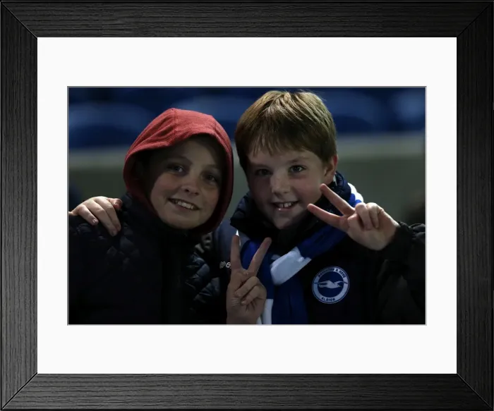 Framed Print : Brighton & Hove Albion: The Electric Amex Stadium Crowd (2012-2013) Framed Print : Brighton & Hove Albion: The Electric Amex Stadium Crowd (2012-2013)