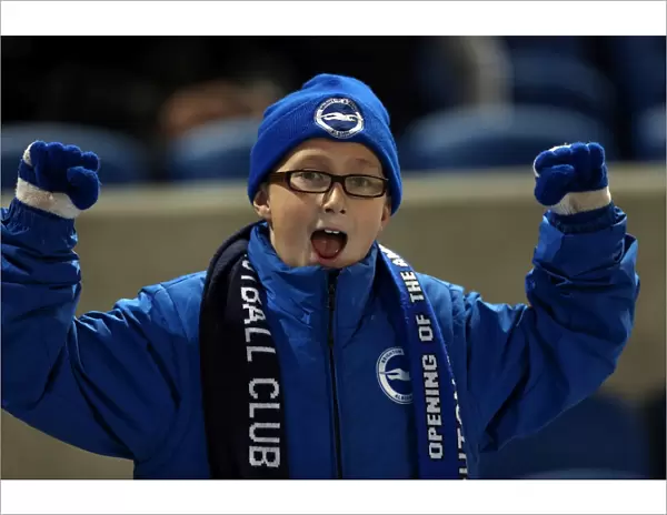 Electric Atmosphere: Unforgettable Crowd Moments at Brighton & Hove Albion's Amex Stadium (2012-13)