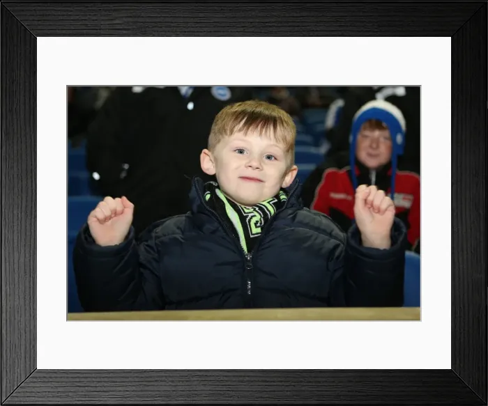 Framed Print : Brighton & Hove Albion FC: Electric Atmosphere at The Amex (2012-2013) Framed Print : Brighton & Hove Albion FC: Electric Atmosphere at The Amex (2012-2013)
