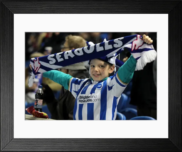 Framed Print : Brighton and Hove Albion: The Electric Amex Stadium Crowd (2012-2013) Framed Print : Brighton and Hove Albion: The Electric Amex Stadium Crowd (2012-2013)