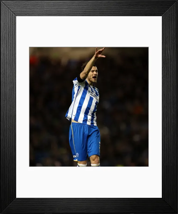 Framed Print : Brighton & Hove Albion: Nostalgic Look Back - Home Game vs. Bristol City (2012-13 Season) Framed Print : Brighton & Hove Albion: Nostalgic Look Back - Home Game vs. Bristol City (2012-13 Season)