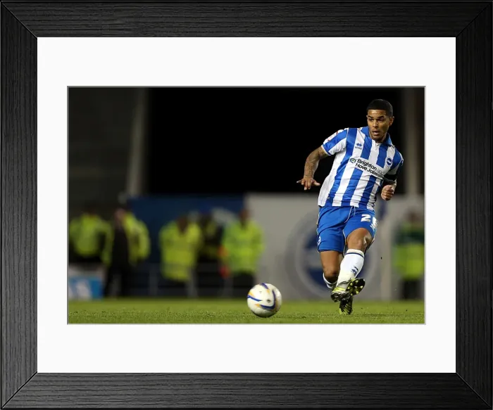 Framed Print : Brighton & Hove Albion vs. Bristol City: 2012-13 Home Game Framed Print : Brighton & Hove Albion vs. Bristol City: 2012-13 Home Game