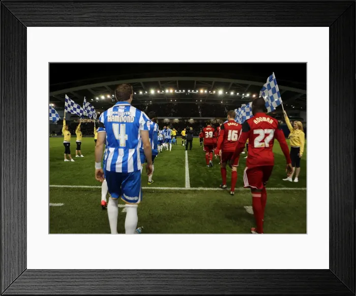 Framed Print : Brighton & Hove Albion vs. Bristol City (2012-13): A Home Game - 27-11-2012
