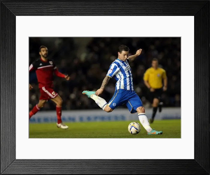 Framed Print : Brighton & Hove Albion vs. Bristol City (27-11-2012): A Glimpse into the 2012-13 Home Season Framed Print : Brighton & Hove Albion vs. Bristol City (27-11-2012): A Glimpse into the 2012-13 Home Season