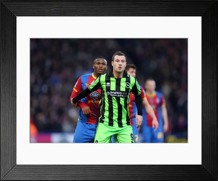 Framed Print : Brighton & Hove Albion at Crystal Palace: 2012-13 Season Away Game Framed Print : Brighton & Hove Albion at Crystal Palace: 2012-13 Season Away Game