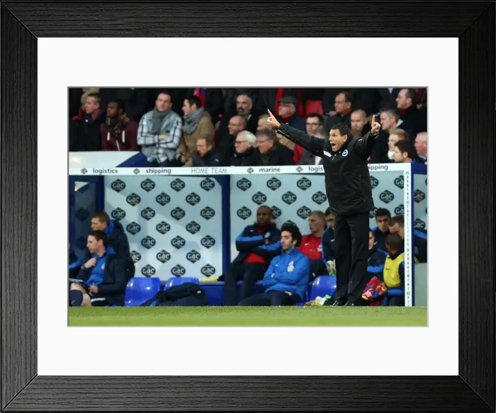 Framed Print : Brighton & Hove Albion Away: 2012-13 Season vs. Crystal Palace (01-12-2012) Framed Print : Brighton & Hove Albion Away: 2012-13 Season vs. Crystal Palace (01-12-2012)