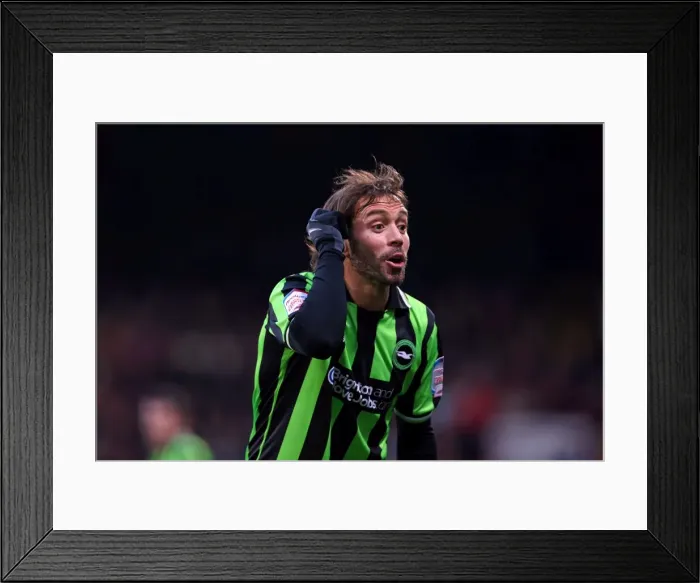 Framed Print : Brighton & Hove Albion's Away Victory over Crystal Palace - December 1, 2012 (Season 2012-13) Framed Print : Brighton & Hove Albion's Away Victory over Crystal Palace - December 1, 2012 (Season 2012-13)