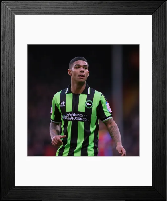 Framed Print : Focused and Determined: Liam Bridcutt's Impact on Brighton & Hove Albion FC Framed Print : Focused and Determined: Liam Bridcutt's Impact on Brighton & Hove Albion FC