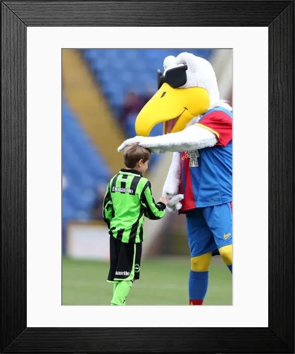 Framed Print : Brighton & Hove Albion Away Game vs. Crystal Palace (01-12-2012) - 2012-13 Season Framed Print : Brighton & Hove Albion Away Game vs. Crystal Palace (01-12-2012) - 2012-13 Season
