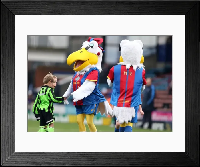 Framed Print : Brighton & Hove Albion vs. Crystal Palace: 2012-13 Away Game Framed Print : Brighton & Hove Albion vs. Crystal Palace: 2012-13 Away Game