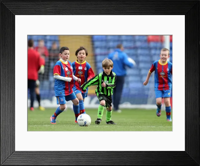 Framed Print : Brighton & Hove Albion vs. Crystal Palace: 2012-13 Season Away Game Highlights - Crystal Palace (01-12-2012) Framed Print : Brighton & Hove Albion vs. Crystal Palace: 2012-13 Season Away Game Highlights - Crystal Palace (01-12-2012)