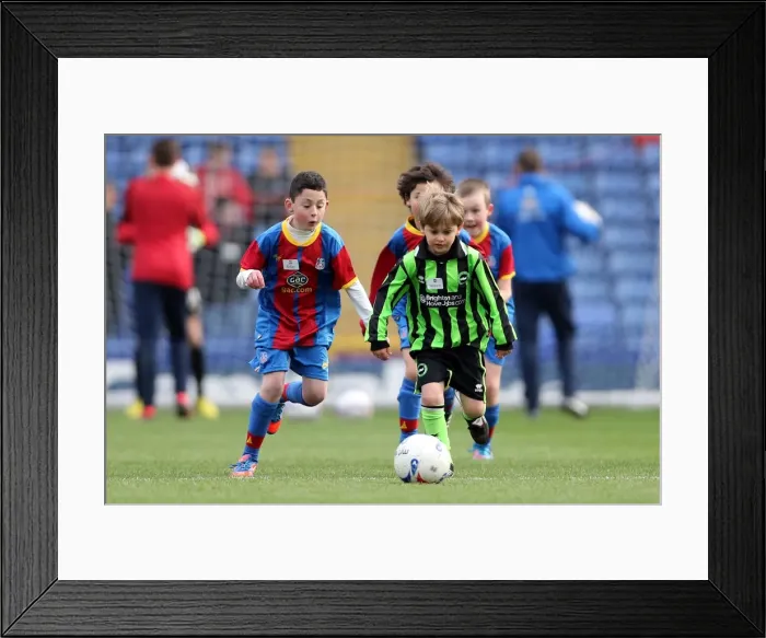 Framed Print : Brighton & Hove Albion vs. Crystal Palace: 2012-13 Away Game Framed Print : Brighton & Hove Albion vs. Crystal Palace: 2012-13 Away Game