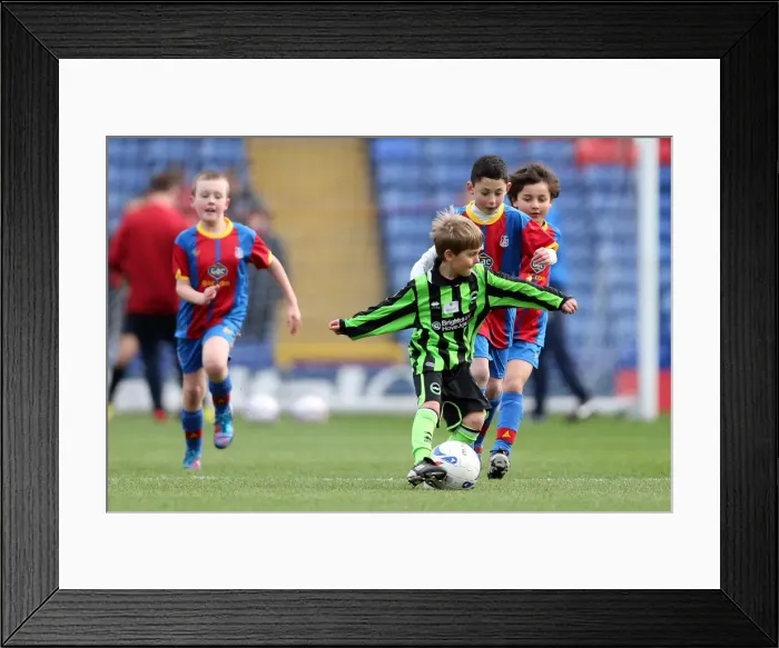 Framed Print : Brighton & Hove Albion at Crystal Palace: 2012-13 Season Away Game Framed Print : Brighton & Hove Albion at Crystal Palace: 2012-13 Season Away Game