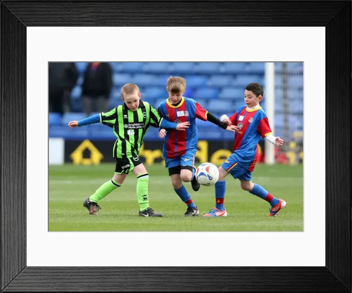 Framed Print : Brighton & Hove Albion vs. Crystal Palace: 2012-13 Season Away Game Highlights - Crystal Palace (December 1, 2012) Framed Print : Brighton & Hove Albion vs. Crystal Palace: 2012-13 Season Away Game Highlights - Crystal Palace (December 1, 2012)