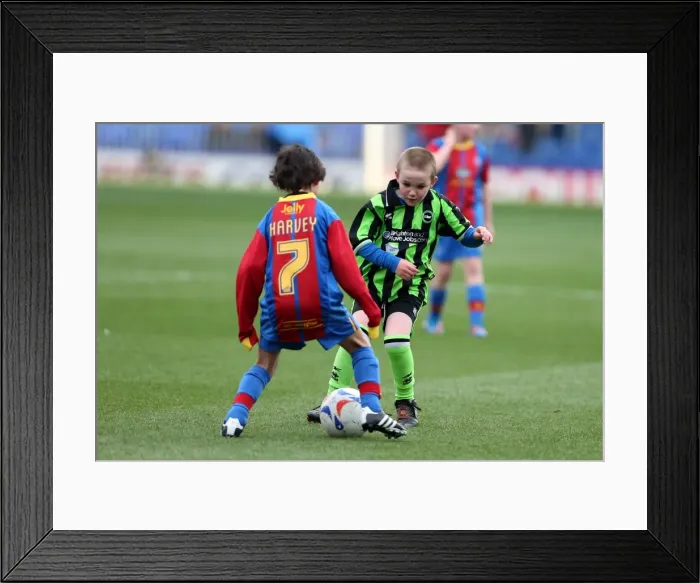Framed Print : Brighton & Hove Albion vs. Crystal Palace: 2012-13 Away Game Highlights (1st December 2012)