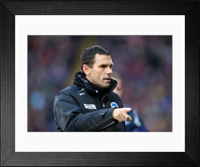 Framed Print : Gus Poyet Leads Brighton & Hove Albion Against Crystal Palace, Npower Championship, December 1, 2012 Framed Print : Gus Poyet Leads Brighton & Hove Albion Against Crystal Palace, Npower Championship, December 1, 2012