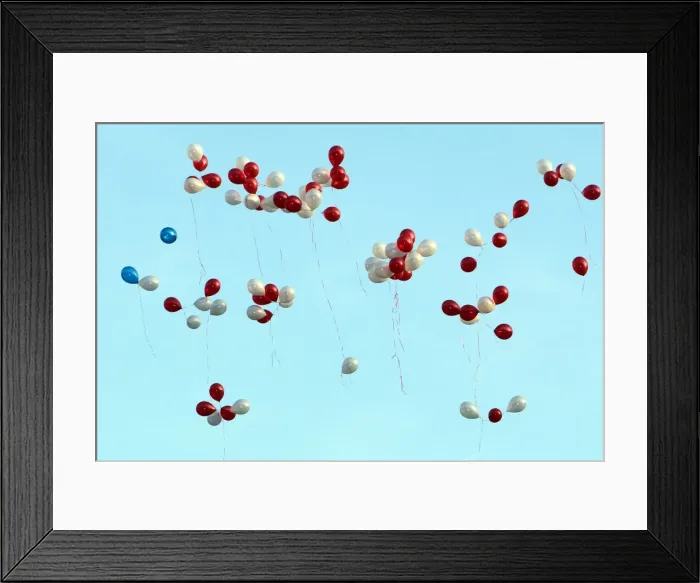 Framed Print : Flashback to the 2012-13 Season: Brighton & Hove Albion vs Charlton Athletic (Away) Framed Print : Flashback to the 2012-13 Season: Brighton & Hove Albion vs Charlton Athletic (Away)
