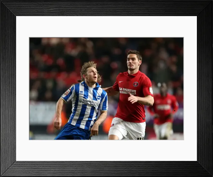 Framed Print : A Flashback to a Memorable Game: Brighton & Hove Albion vs Charlton Athletic (2012-13 Season) Framed Print : A Flashback to a Memorable Game: Brighton & Hove Albion vs Charlton Athletic (2012-13 Season)