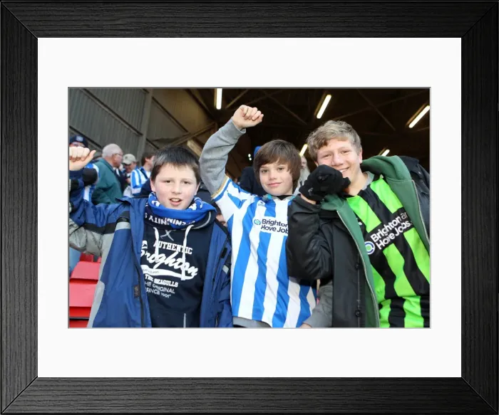 Framed Print : Sea of Supporters: Brighton & Hove Albion Away Games 2012-2013 Framed Print : Sea of Supporters: Brighton & Hove Albion Away Games 2012-2013