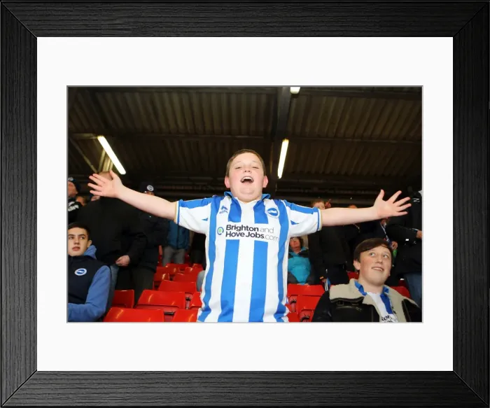 Framed Print : Unforgettable Away Days: Brighton & Hove Albion FC Crowd Moments 2012-13 Framed Print : Unforgettable Away Days: Brighton & Hove Albion FC Crowd Moments 2012-13