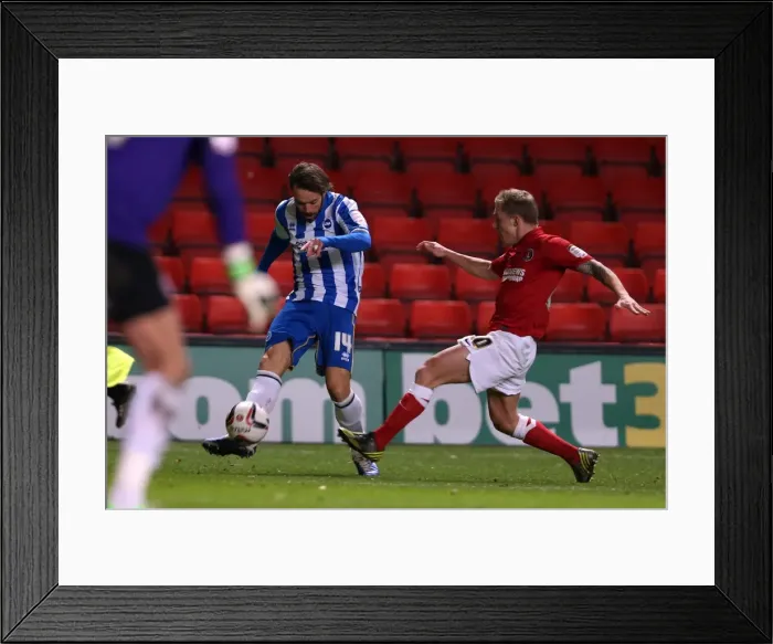 Framed Print : Brighton & Hove Albion vs Charlton Athletic (Away) - A Flashback to the 2012-13 Season: 8-12-2012 Framed Print : Brighton & Hove Albion vs Charlton Athletic (Away) - A Flashback to the 2012-13 Season: 8-12-2012