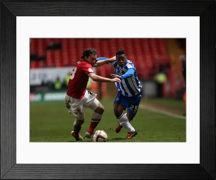 Framed Print : Flashback to the Thrilling 2012-13 Season: Brighton & Hove Albion vs Charlton Athletic Away Game Framed Print : Flashback to the Thrilling 2012-13 Season: Brighton & Hove Albion vs Charlton Athletic Away Game