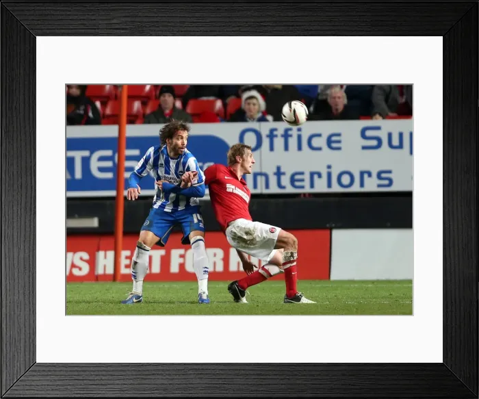 Framed Print : Brighton & Hove Albion vs Charlton Athletic: Exciting 2012-13 Away Game Framed Print : Brighton & Hove Albion vs Charlton Athletic: Exciting 2012-13 Away Game