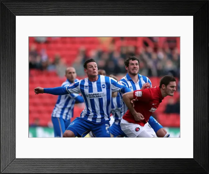 Framed Print : Brighton & Hove Albion at Charlton Athletic (Away): 2012-13 Season Highlights (December 8) Framed Print : Brighton & Hove Albion at Charlton Athletic (Away): 2012-13 Season Highlights (December 8)