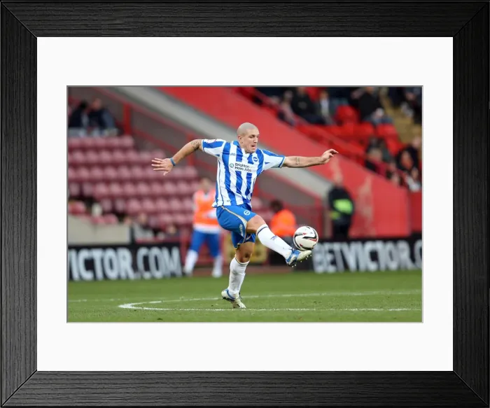 Framed Print : Adam El-Abd in Action: Brighton & Hove Albion vs Charlton Athletic, Npower Championship, December 8, 2012 Framed Print : Adam El-Abd in Action: Brighton & Hove Albion vs Charlton Athletic, Npower Championship, December 8, 2012