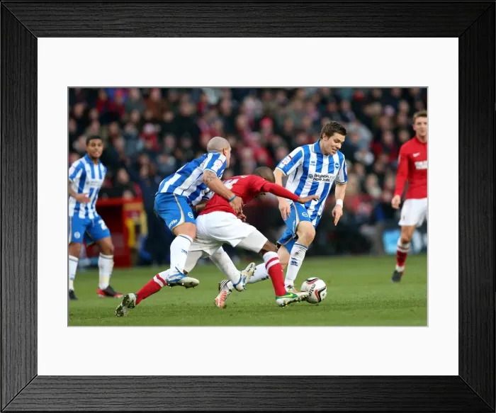 Framed Print : Dean Hammond: In Action at The Valley - Charlton Athletic vs. Brighton & Hove Albion, Npower Championship (Dec 8, 2012) Framed Print : Dean Hammond: In Action at The Valley - Charlton Athletic vs. Brighton & Hove Albion, Npower Championship (Dec 8, 2012)