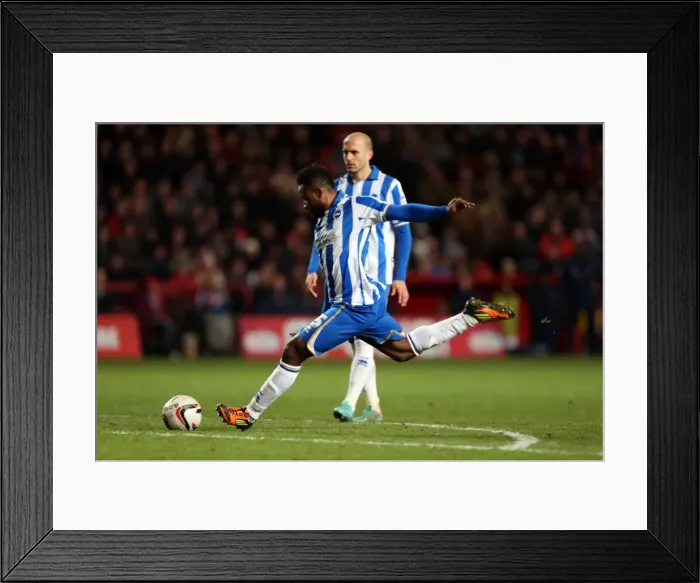 Framed Print : LuaLua's Dramatic Equalizer: 2-2 Draw for Brighton & Hove Albion vs Charlton Athletic (December 8, 2012) Framed Print : LuaLua's Dramatic Equalizer: 2-2 Draw for Brighton & Hove Albion vs Charlton Athletic (December 8, 2012)