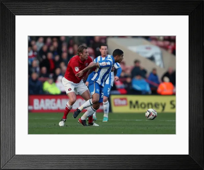 Framed Print : Brighton & Hove Albion's Liam Bridcutt in Action Against Charlton Athletic (Dec 2012) Framed Print : Brighton & Hove Albion's Liam Bridcutt in Action Against Charlton Athletic (Dec 2012)