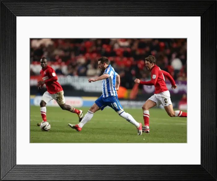 Framed Print : Stephen Dobbie in Action: Charlton Athletic vs. Brighton & Hove Albion, Npower Championship, December 8, 2012 Framed Print : Stephen Dobbie in Action: Charlton Athletic vs. Brighton & Hove Albion, Npower Championship, December 8, 2012